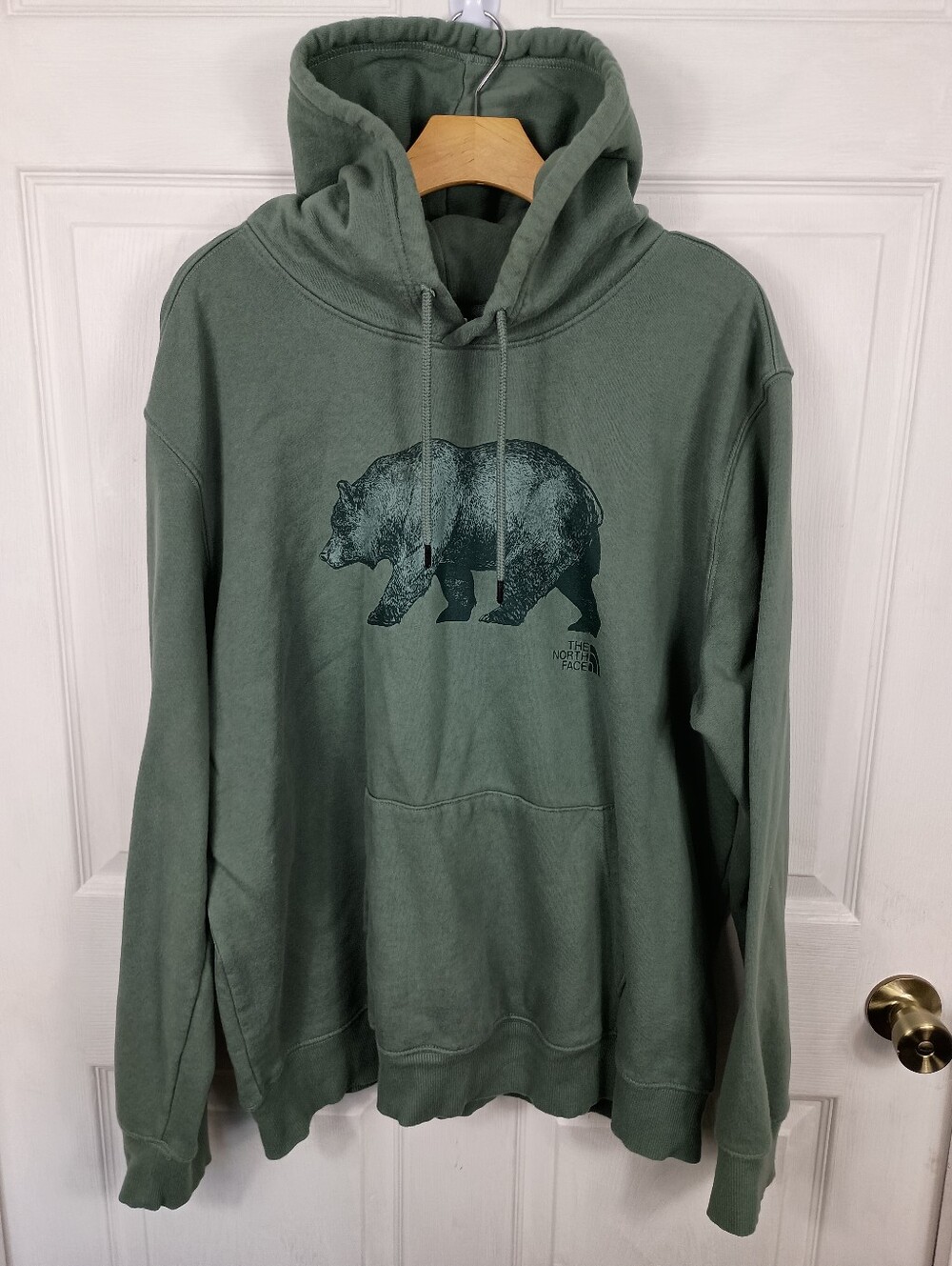 The North Face Hoodie XL Mens Green Grizzly Bear Graphic Pullover Kangaroo Pckt